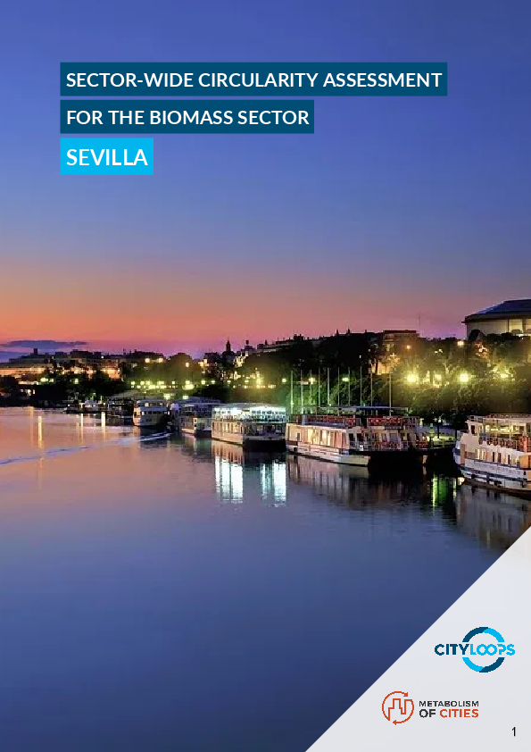 Sector-wide circularity assessment for the biomass sector. Seville