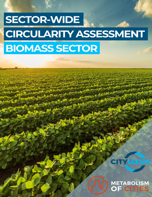 Sector-wide circularity assessment. Biomass sector