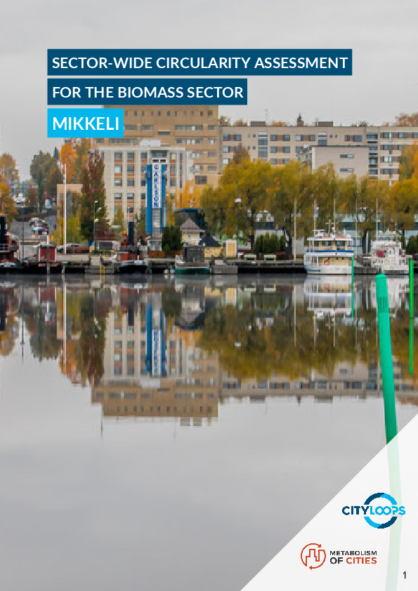 Sector-wide circularity assessment for the biomass sector. Mikkeli