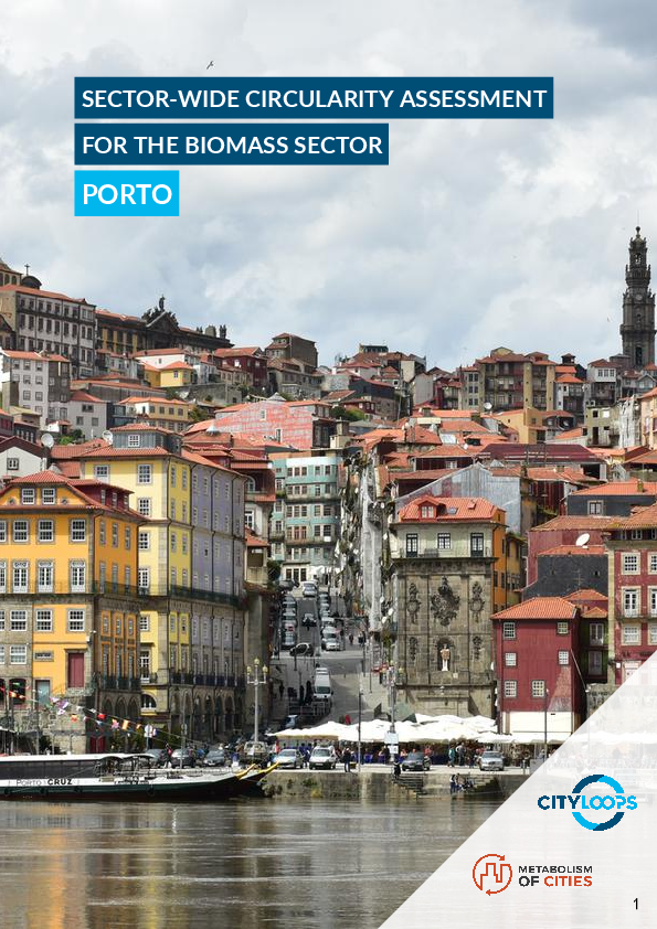Sector-wide circularity assessment for the biomass sector. Porto